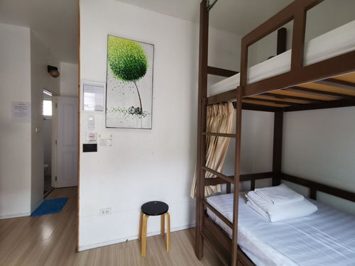 探索清迈新潮流 Bunk Boutique Hostel Chiang Mai双层精品旅馆，Agoda轻松订房体验